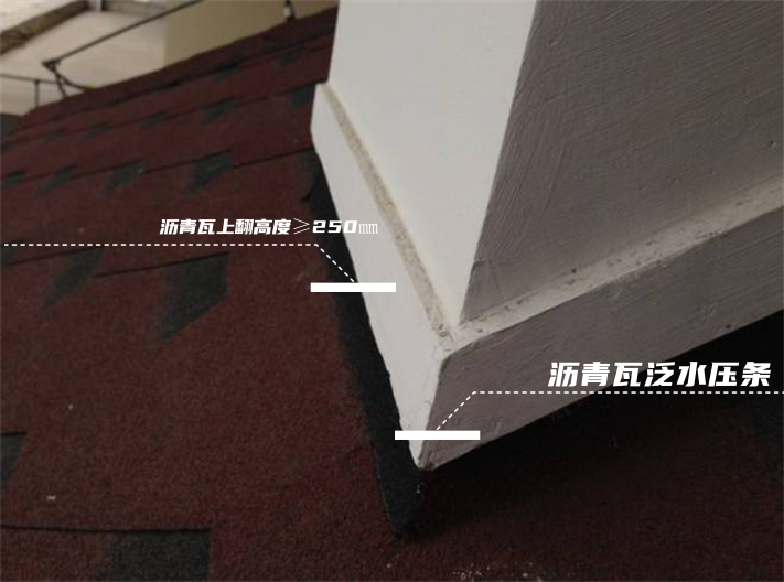 图片 18_副本.png