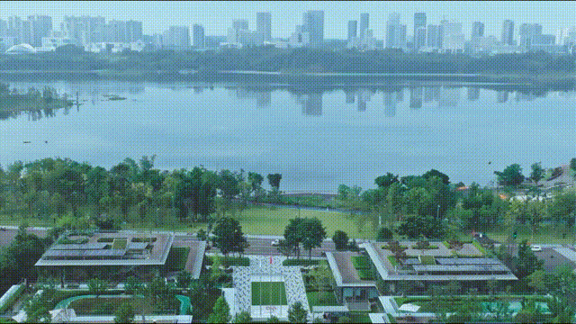 1681780322798.gif