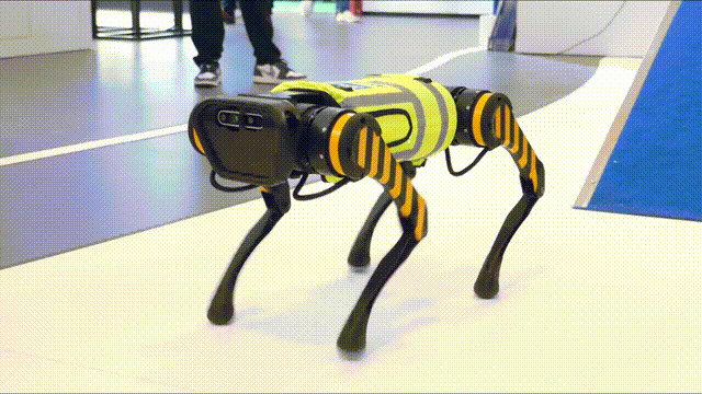 1681780322434.gif